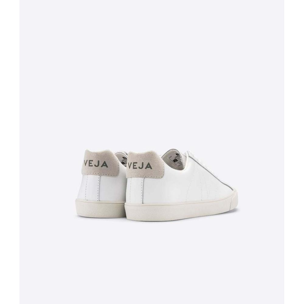 Women's Veja ESPLAR LEATHER Sneakers White/Beige | ZA 621HAP